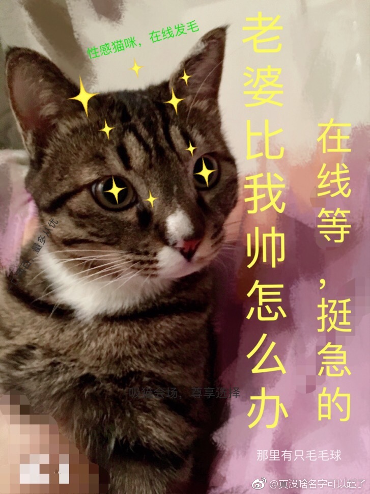 ���ű���˧��ô�죬���ߵȣ�ͦ����gl