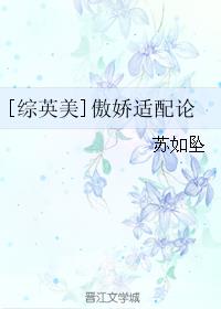 [��Ӣ��]����������